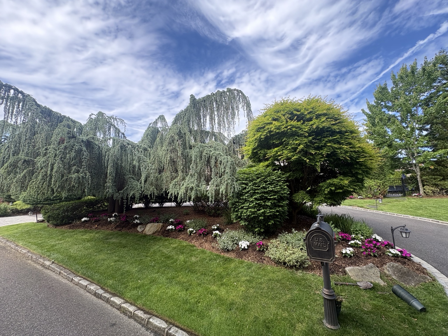 Maintained landscape bed with ornamental trees and flowers