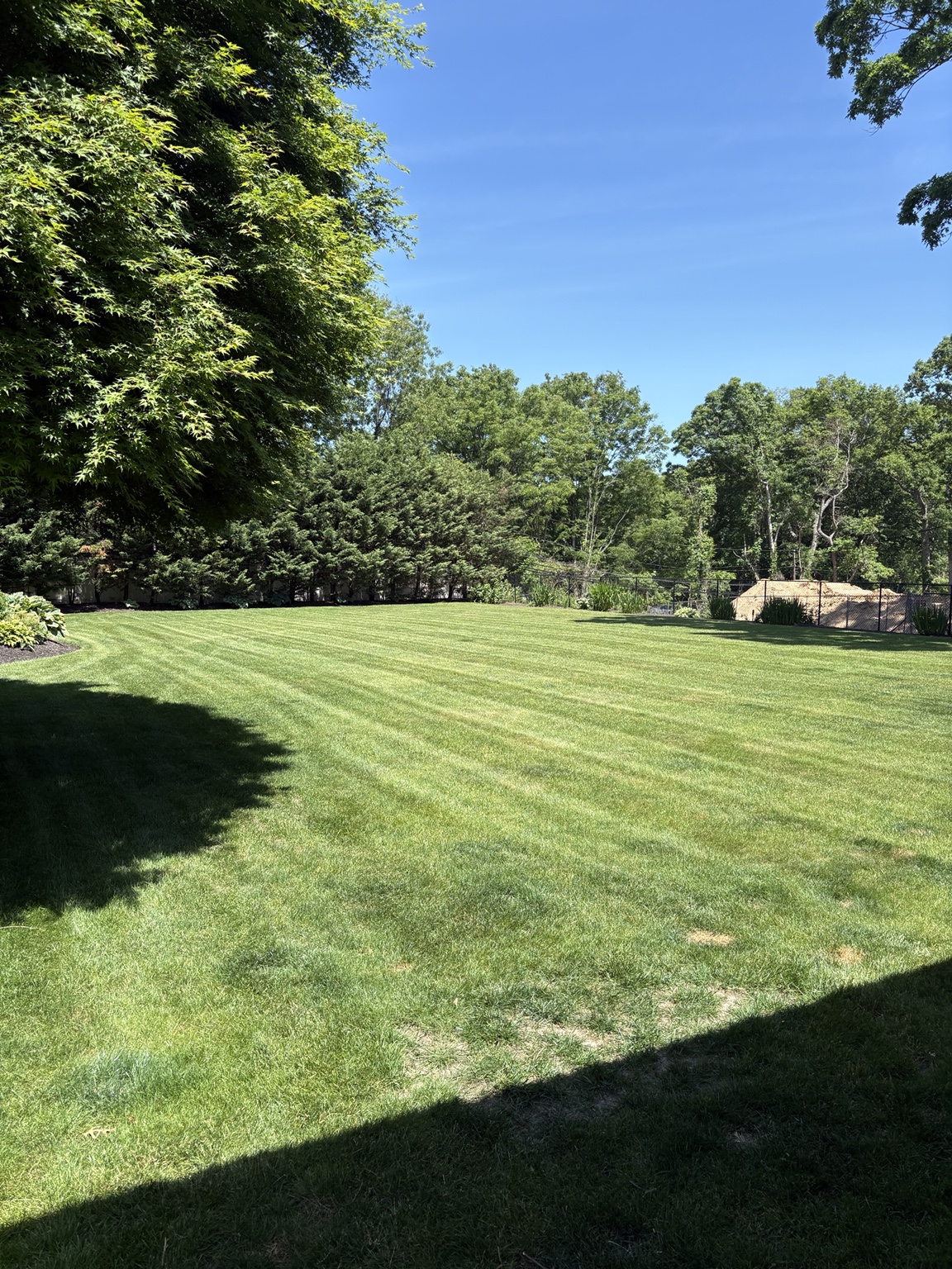Freshly striped and maintained residential lawn